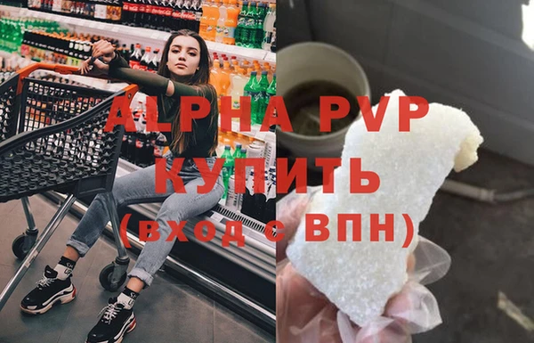 PSILOCYBIN Елабуга