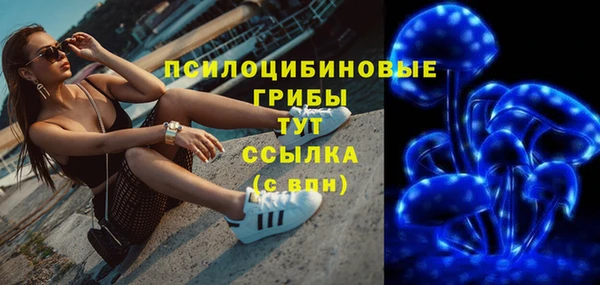 PSILOCYBIN Елабуга