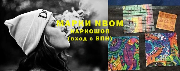 PSILOCYBIN Елабуга
