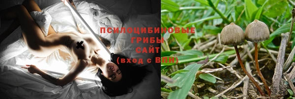 PSILOCYBIN Елабуга